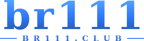 br111 logo